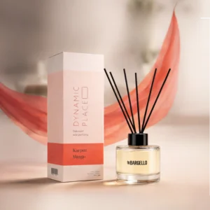 120ml reed diffuser watermelon mango